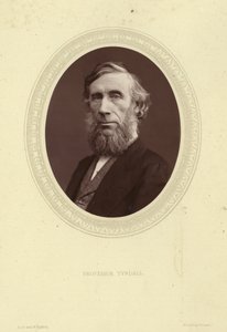 Portret van John Tyndall door Lock and Whitfield